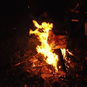 Meet your Posher, Tracie